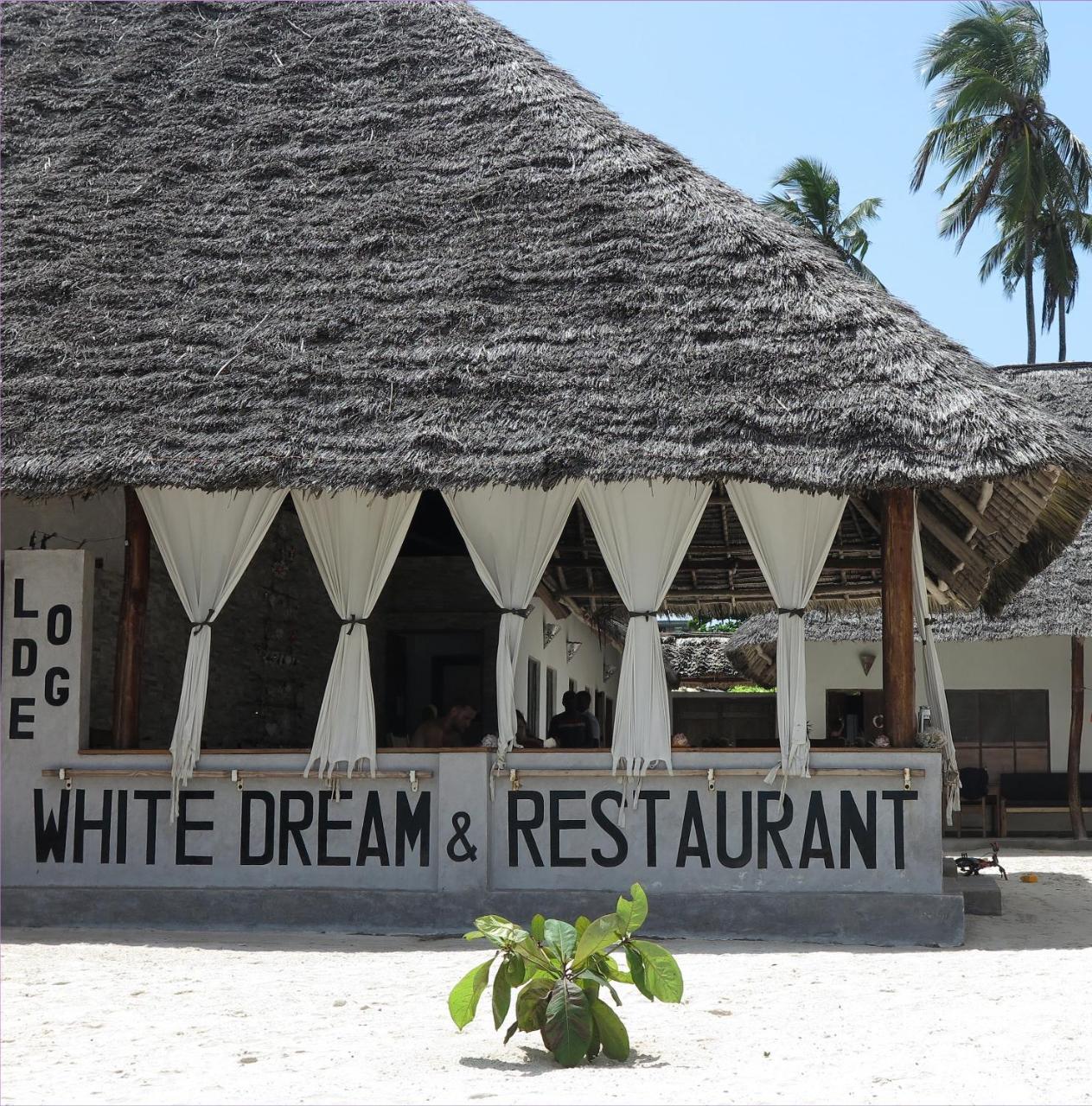 White Dream Panzió Kiwengwa  Kültér fotó